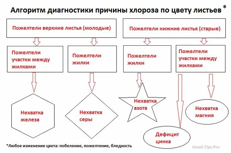 scale_2400 (679 × 563) Сад и огород Постила