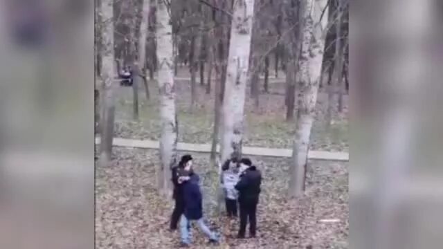 Видео где девушек привязывают к дереву. Фотосессия на дереве. Привязали к дереву в лесу. Девушка прикована к дереву. Видео где девушек привязывают к дереву.