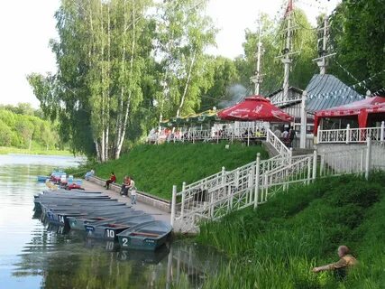Сестрорецком парке клина
