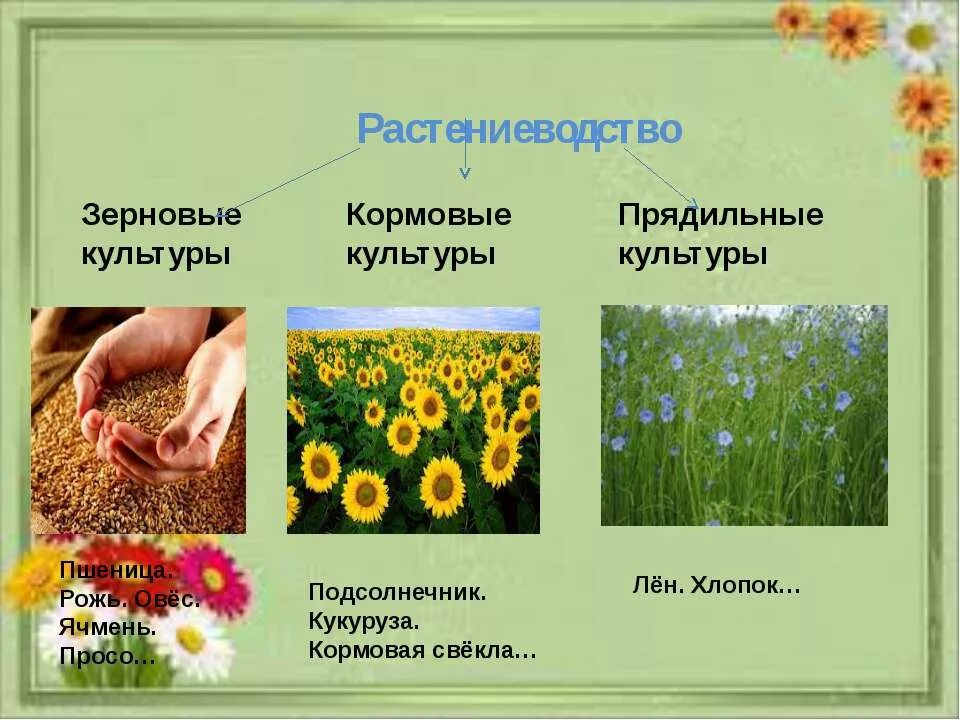 Окружающий мир 3 класс страница 31 растениеводство
