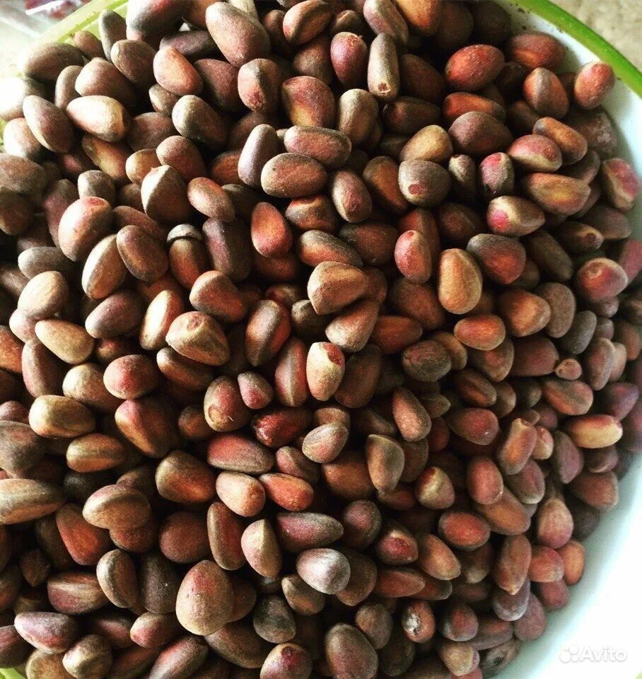 Скорлупа кедрового ореха. Дальневосточный кедровый орех. Кедровые орешки в шишках. Кедровый орех. Кедр сибирский орехи.