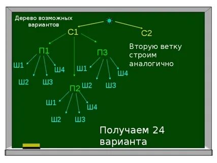 Построение схемы дерева возможных вариантов