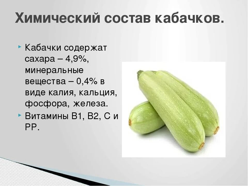 Можно ли есть кабачковую