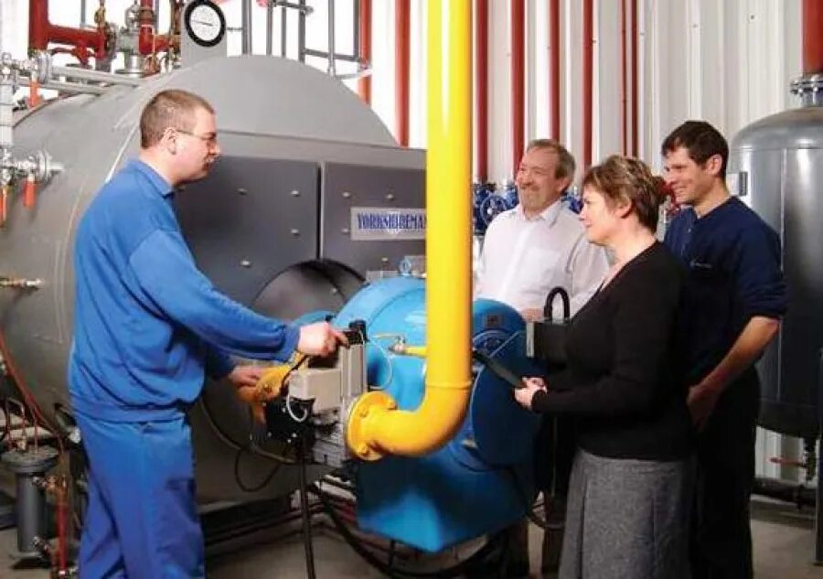 кот начальник.