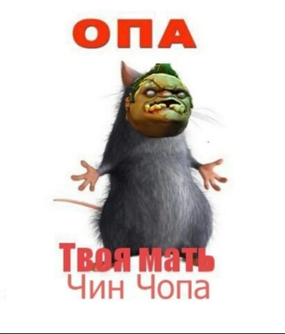 Крыса твоя мать. Опа твоя мать прекрасная женщина. Опа мам. Опа твоя мама. Опа твоя мать.