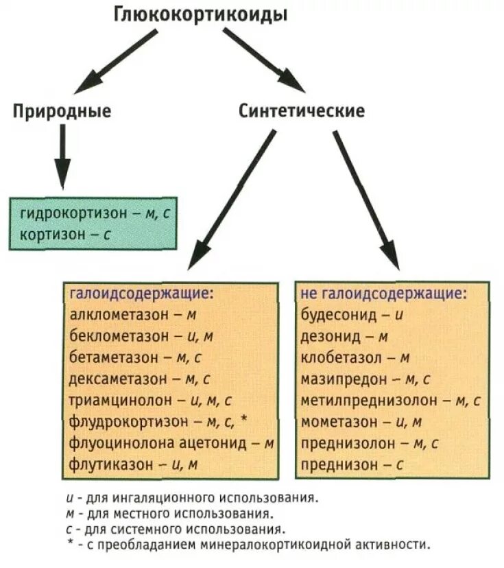 Применение глюкокортикоидов тест. Препараты глюкокортикостероидов классификация. Классификация препаратов глюкокортикоидных гормонов. Природные и синтетические глюкокортикоиды. Синтетические препараты глюкокортикоидов.