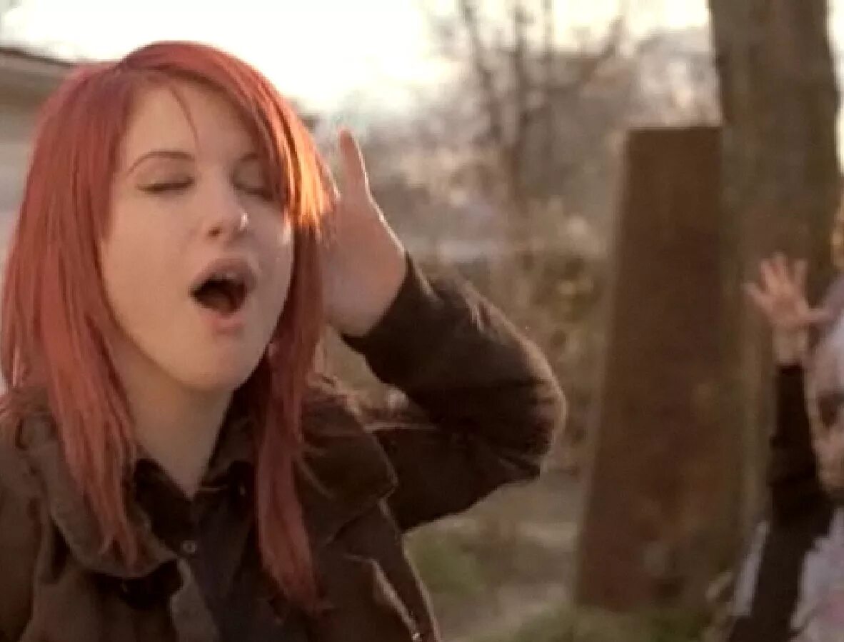 Джокер 2019 мюррей франклин. Paramore рок гиф. Покорение вершин. Смешной тюлень. That's what you get paramore смысл песни.