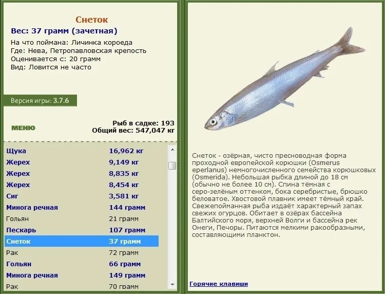 Пелядь обь. Питерская рыба. Рыба с запахом свежего огурца. Какая рыба пахнет огурцом. Рыба пахнет огурцом.