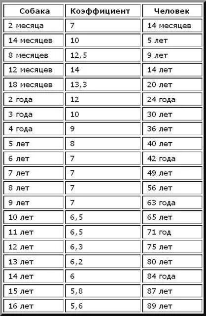 Как посчитать сколько собаке. 5 Месяцев собаке по человеческим меркам это сколько лет. Возраст собак на человеческий Возраст таблица по месяцам. Возраст крупной собаки по человеческим меркам таблица. Сколько равен 1 год собаки по человеческим меркам.