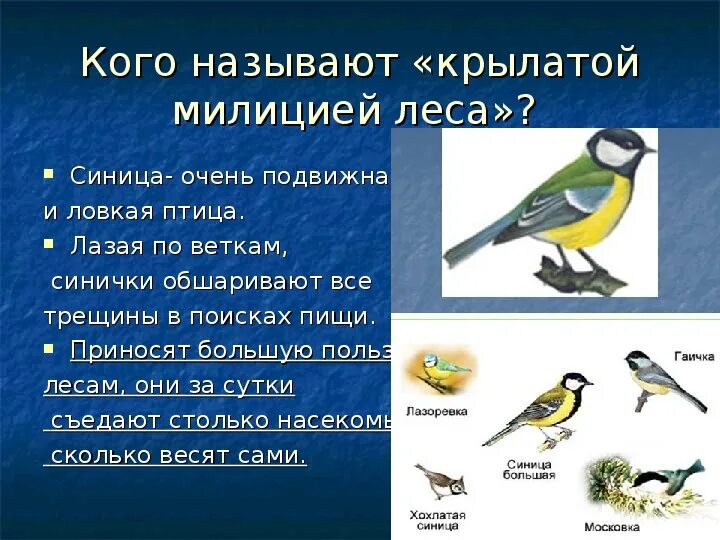 Рассказ про птиц 2 класс окружающий мир. Зимующие птицы 2 класс окружающий мир. Птицы в окружающем мире 2 класс. Зимующие птицы окружающий мир 2. Листовка зимующие птицы.