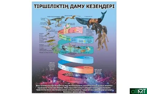Пайда болуы