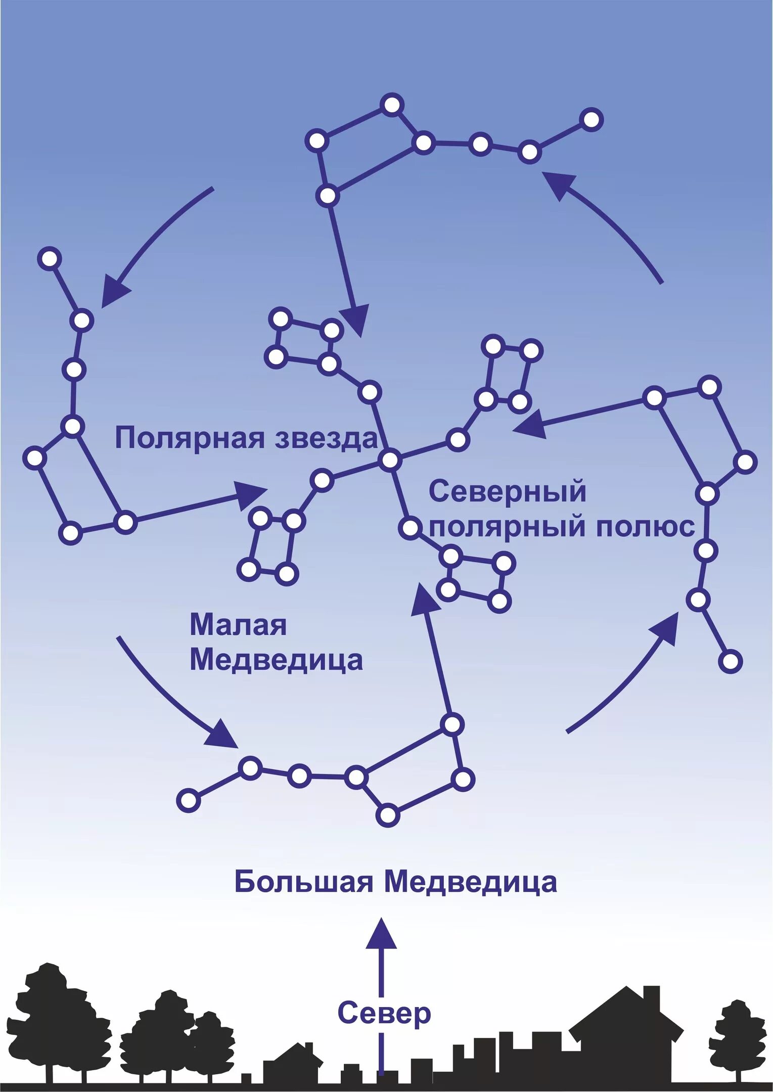 Созвездие большой медведицы летом. Большая и малая медведица созвездие на небе и полярная звезда. Большая медведица осенью. Большая медведица созвездие. Созвездие ковш малой медведицы.