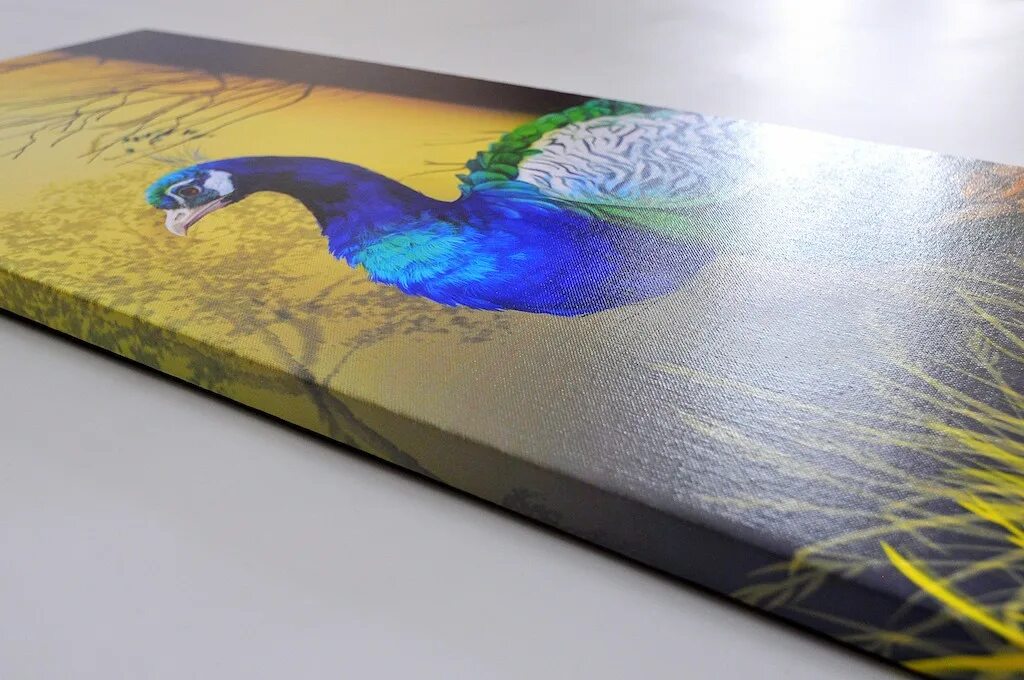 глаза маслом живопись. кожа масляными красками. глаз акрилом. кожа масляными красками. портрет гуашью.