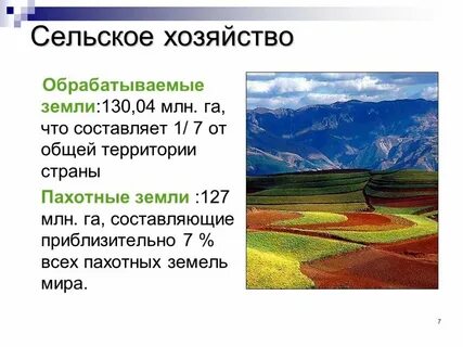 Площадь обрабатываемых земель