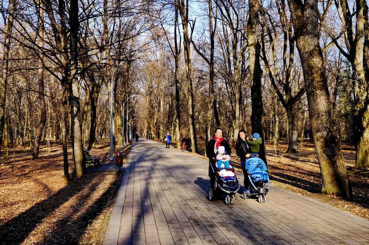 Можно гулять в парке