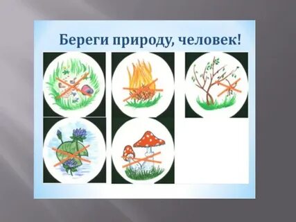 Беречь природу это