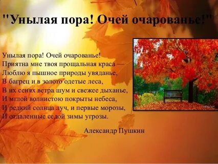 Почему осень называют унылой порой