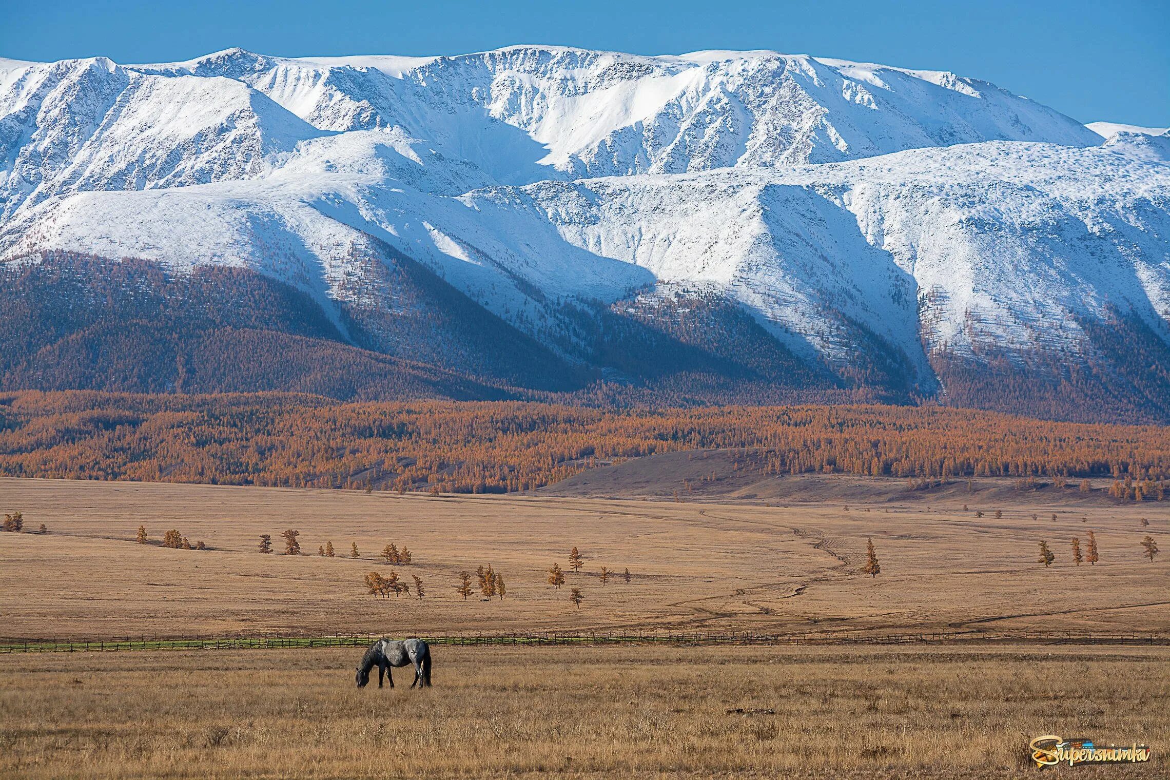 курайская долина горный алтай. алтай чуйская чуйская степь горный. чуйская степь горный алтай. чуйский тракт курайская степь. курайская долина горный алтай.