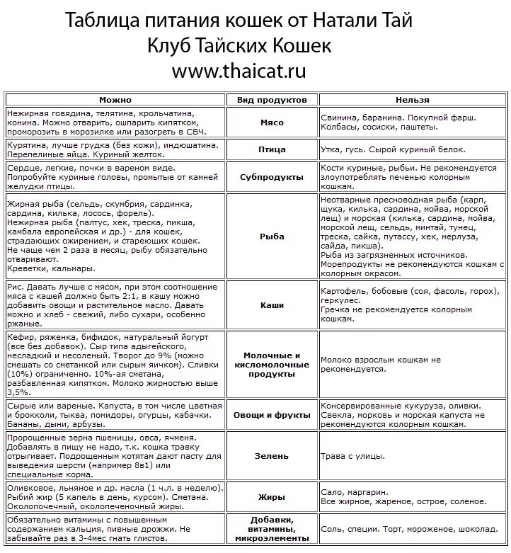 Чем кормить котенка 5 месяцев. Таблица кормления котят до 2 месяцев. Таблица кормления месячного котенка. Кормление котят 2-3 месяца кормом. Рацион питания котенка 2 месяца.