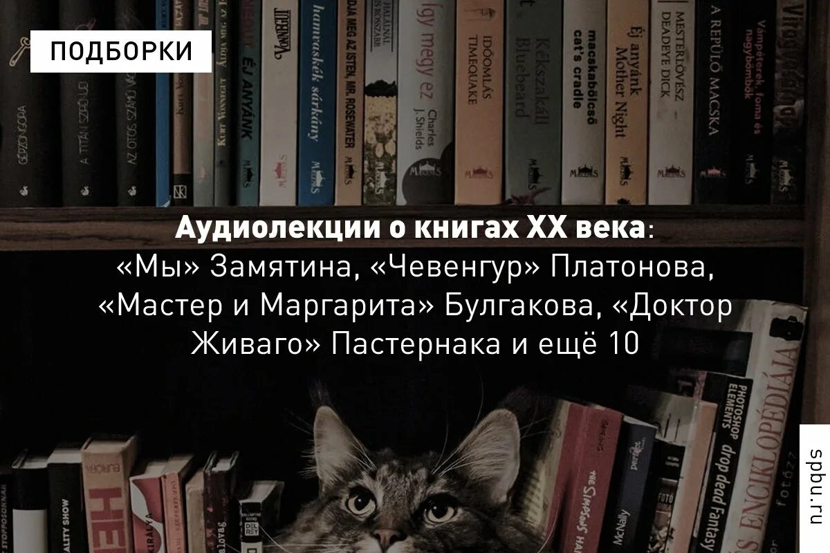 Лучшие книги 20 21 века. Посвящение в книге. Аудиолекции. Книга 20 минут