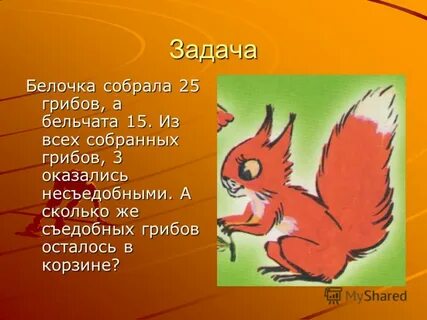 Задача белки