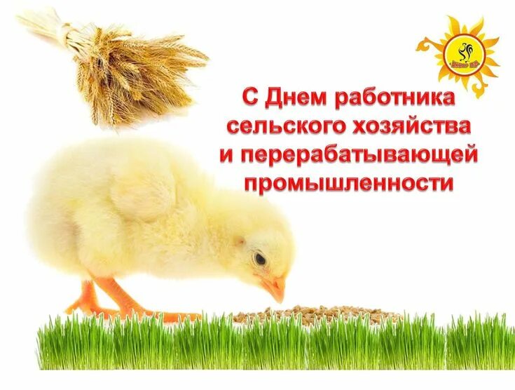 Поздравляем всех сельских тружеников с праздником! Крепкого здоровья вам на долг