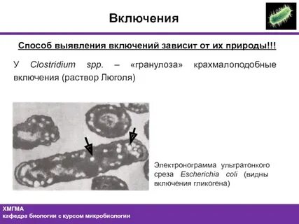 Включения метод выявления