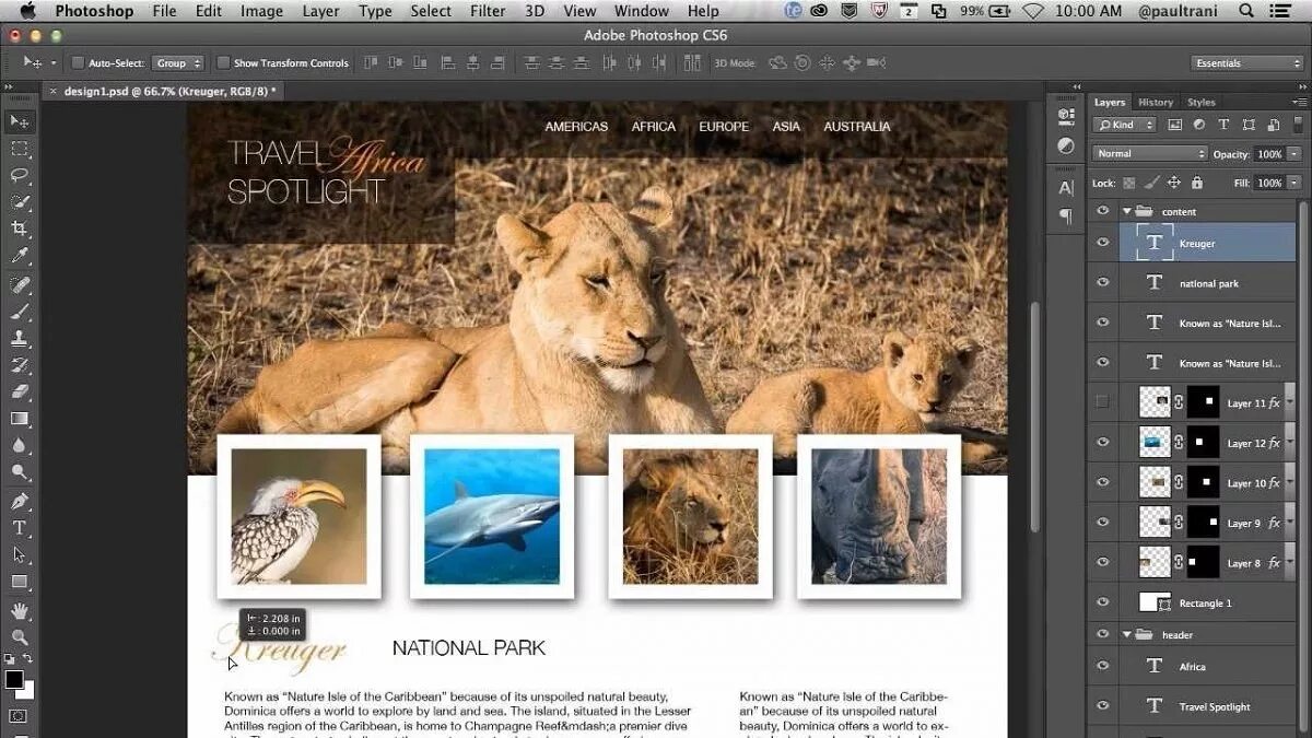 Adobe web