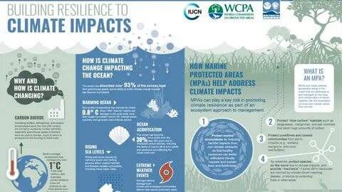 Climate impact
