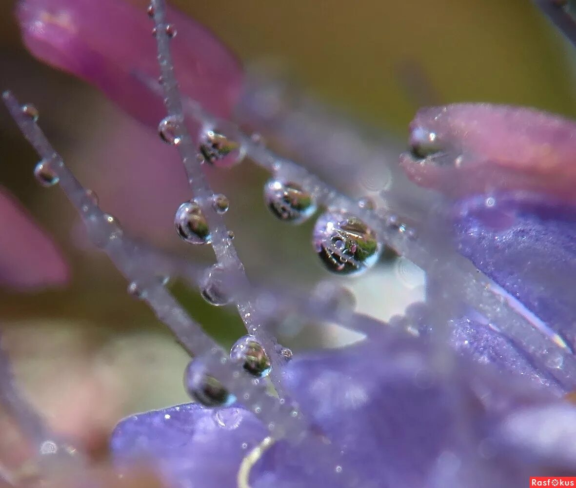 капли дождя на стекле. за бортом-2 сергей залевский книга. наследница огня книга. серый дождь. дождь эстетика.