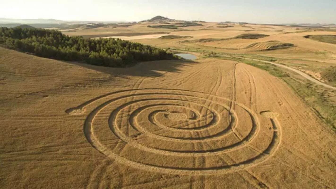 Круги на полях нло. Самые красивые круги на полях. Круги на полях. Спирали круги на полях. Спираль в поле.