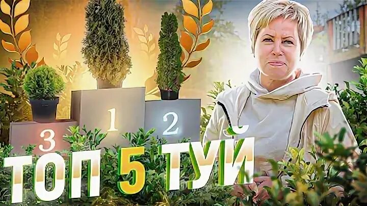Какая туя самая неприхотливая