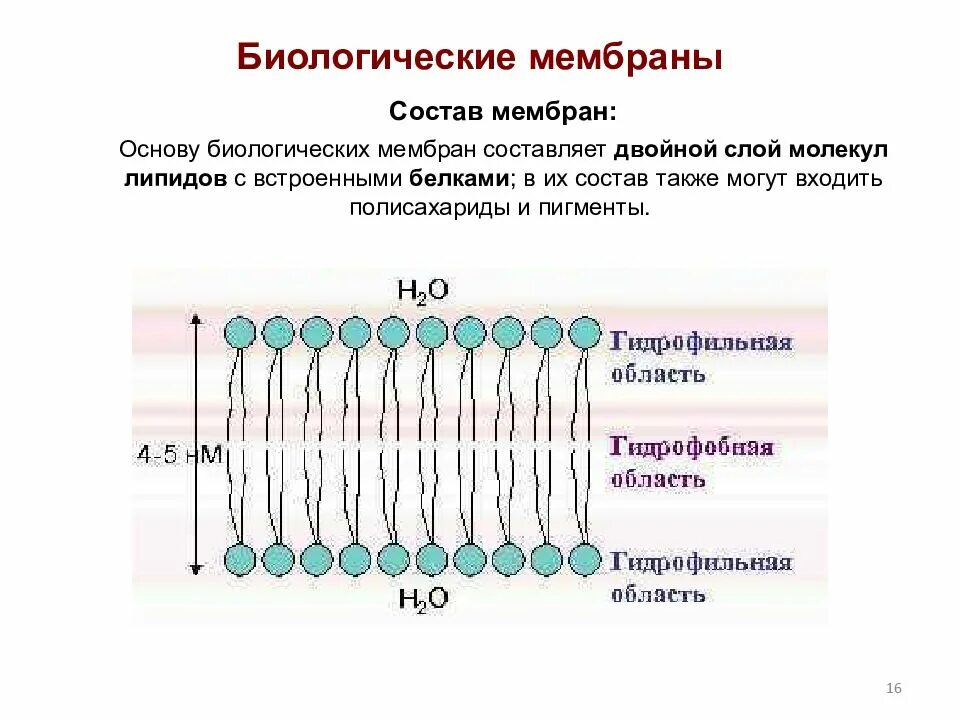Основа составляющим