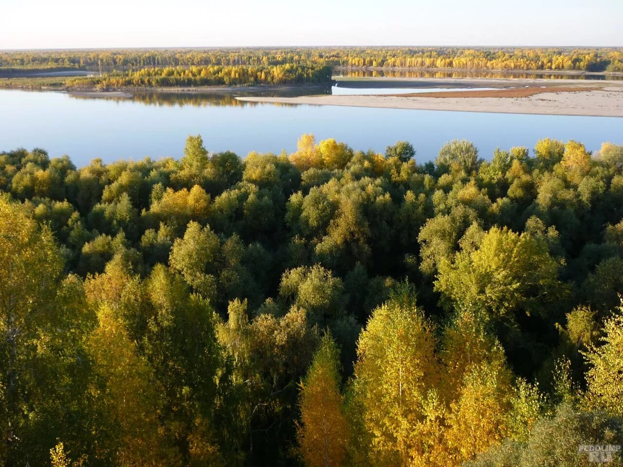 Вода в оби в шелаболихе. Село Новообинцево Шелаболихинского района. Село Новообинцево Шелаболихинского района Алтайского края. Шелаболихинский Киприно. Сибирка Шелаболихинский район.