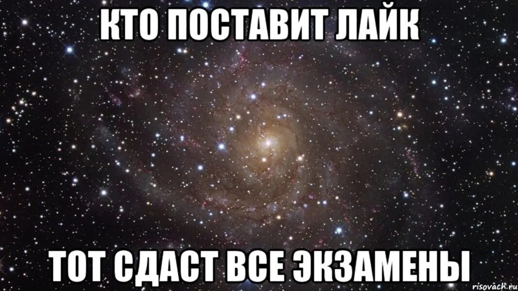 Like tu