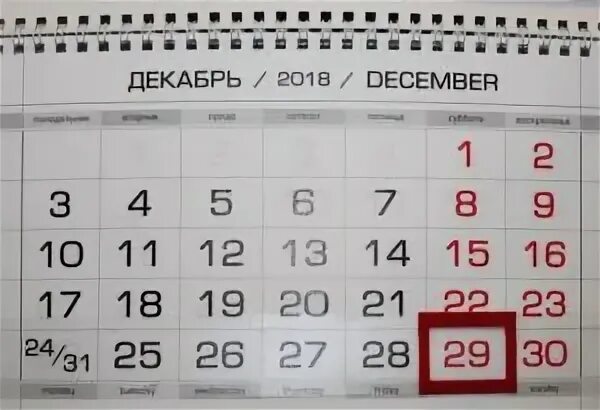 Сколько дней до 29 декабря