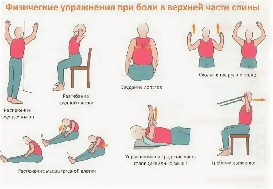 Потянул спину как лечить. Потянул спину как лечить