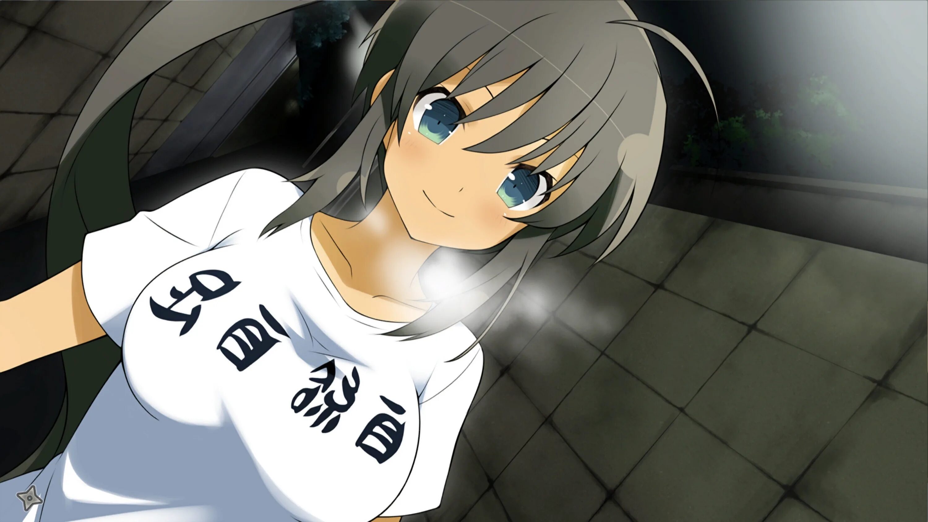 Shinovi versus. Senran kagura shinovi versus мод 18. Senran kagura shinovi. Shinovi versus. Senran kagura похожие игры.