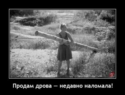 Продам дрова недавно наломала