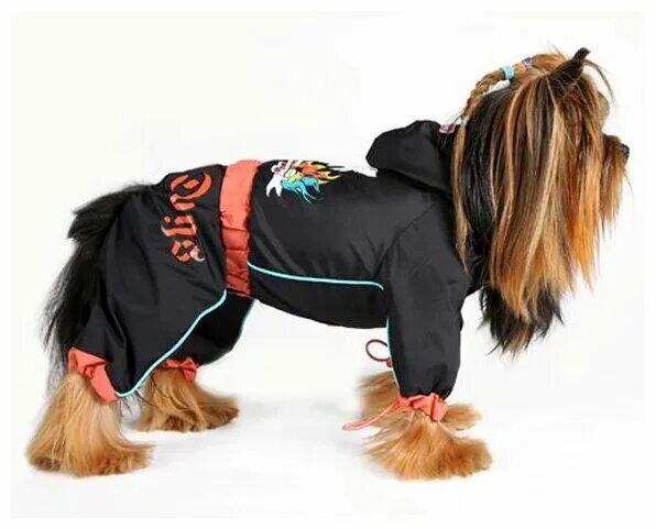 комбинезон на пекинеса тузик. комбинезоны для собак мелких пород. комбинезон для йорка девочки. догмода комбинезон для собак. одежда для собак йорков девочек.