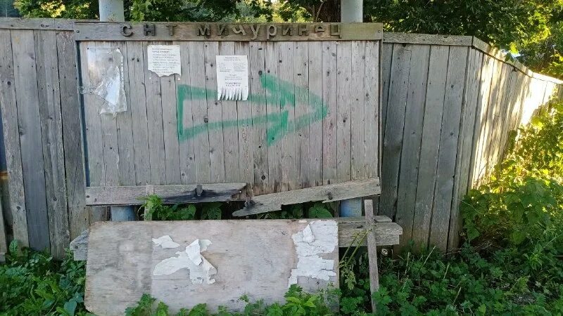 дачные вести