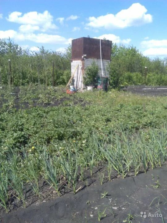Тракторосад no 3 просп ленина 8. Тракторосад 4 челябинск. тракторосад 2 вид сверху. снт чурилова. тракторосад отжим сока, номер телефона.