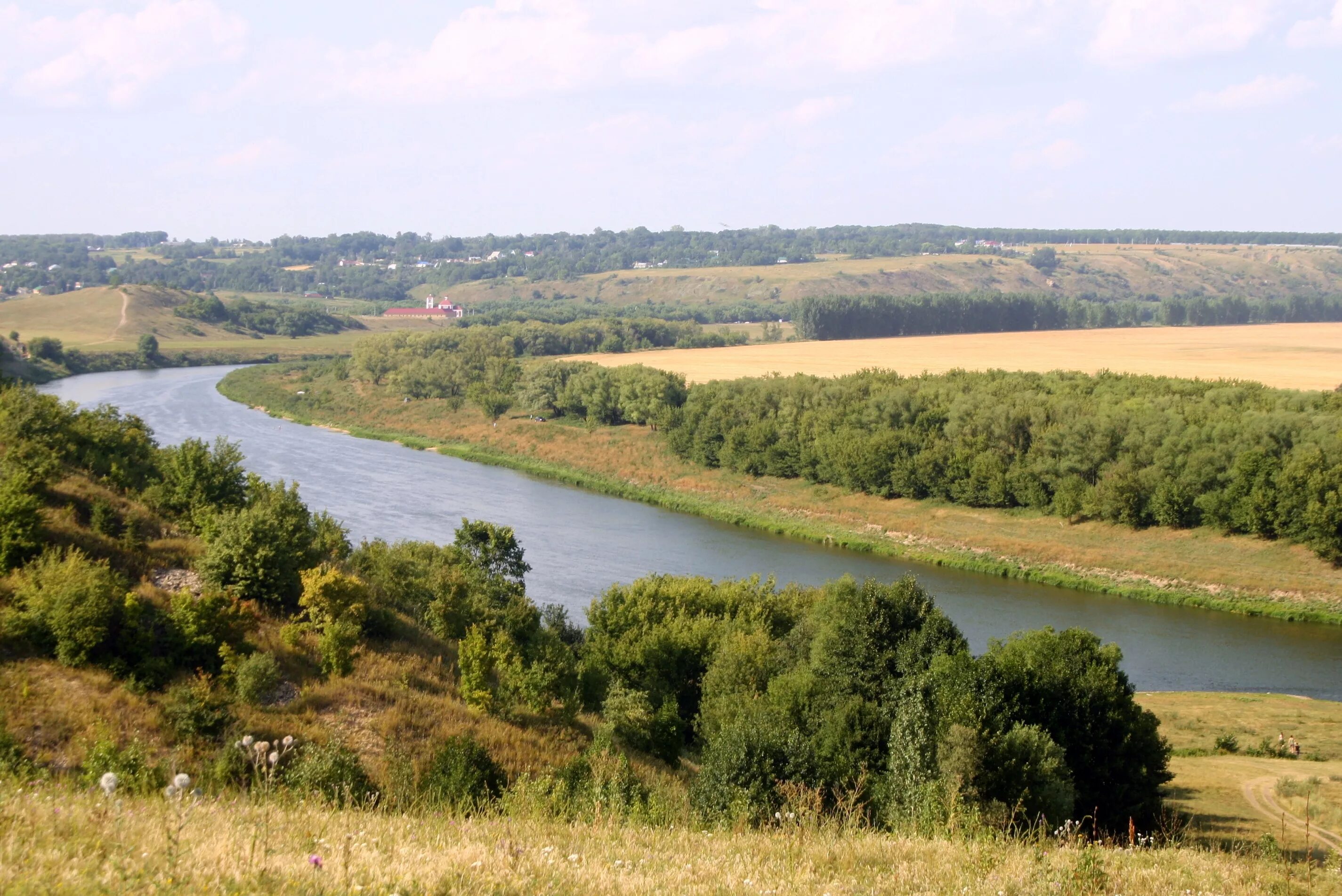 Дон сколько рек. Краснодарский край река Дон. Дон река в России. Река Дон фото. Природа Ростовской области.