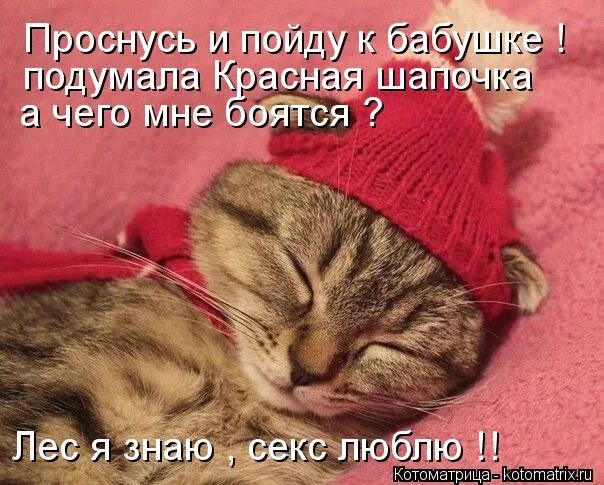 Красная Шапочка Дорогу Знаю Секс Люблю