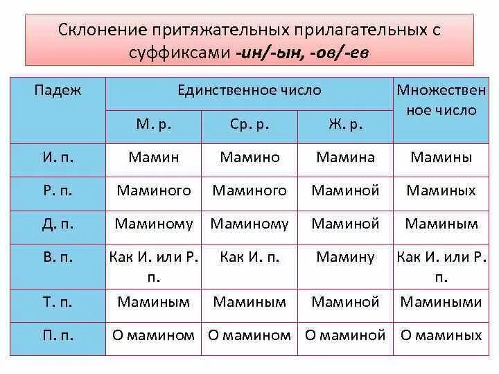 Таблица изменения имен прилагательных по падежам. Склонение притяжательных прилагательных. Таблица окончаний притяжательных прилагательных. Склонение притяжательных имен прилагательных. Склонение имен существительных среднего рода множественного числа.