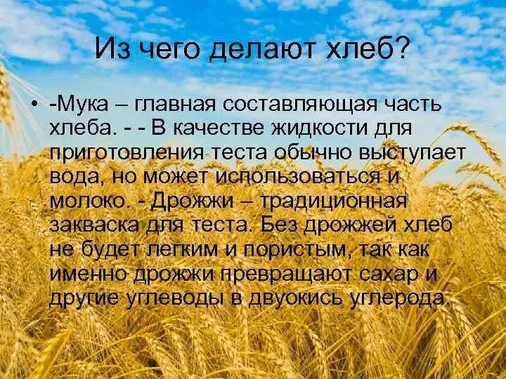 Из чего делают хлеб. Как из пшеницы делают хлеб. Информация о хлебе. Из чего делают хлебобулочные изделия. Текст хлеб на столе