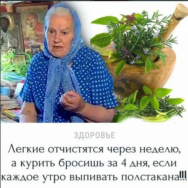 Лечение травницы зайцевой