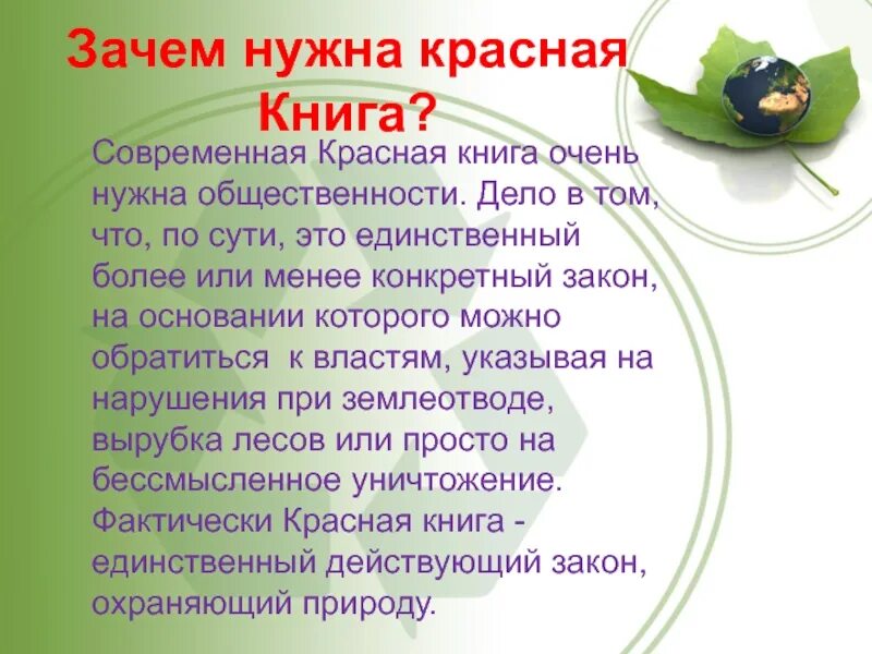 Почему многие растения и животные стали редкими