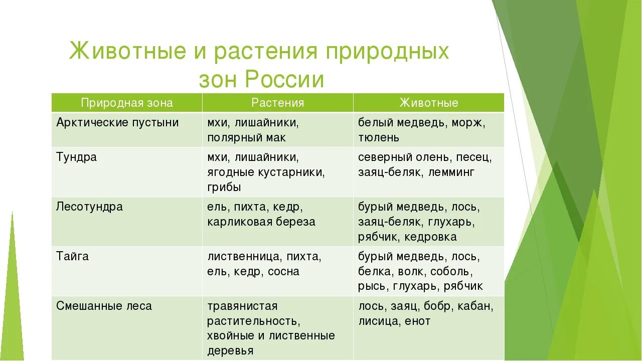 Таблица природные зоны России 5 класс биология таблица. Таблица природная зона почвы и растительность России. Природные зоны России животные и растения таблица. Растительный и животный мир природных зон таблица. Растительность природных зон земли биология