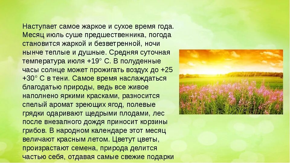 Лето описание природы. Рассказ о лете. Рассказ про лето. Сочинение о лете. 5 предложений о лете